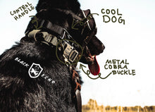 Load image into Gallery viewer, tactical black echo company honey badger dog collar durable