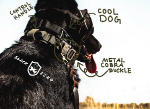 tactical black echo company honey badger dog collar durable