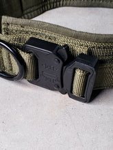 Load image into Gallery viewer, BEC Honey Badger Dog Collar
