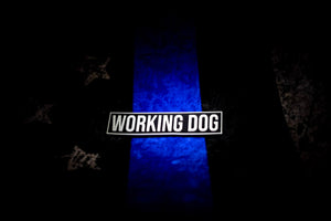 Working Dog glow in the dark Patch