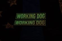 Load image into Gallery viewer, Working Dog glow in the dark Patch